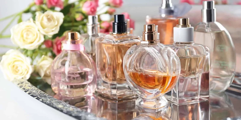TagoMago and Perfumeria Refreshed Their Sites with 82% and 108% Above-Average Search Usage
